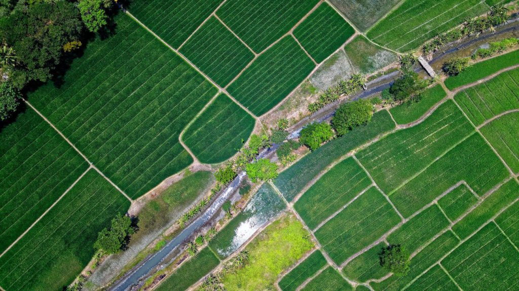 Avocat pour la protection des marques en droit rural et viticole