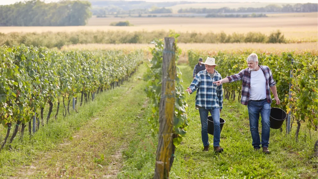 Comprendre et résoudre les conflits entre exploitants dans le droit viticole en Aquitaine